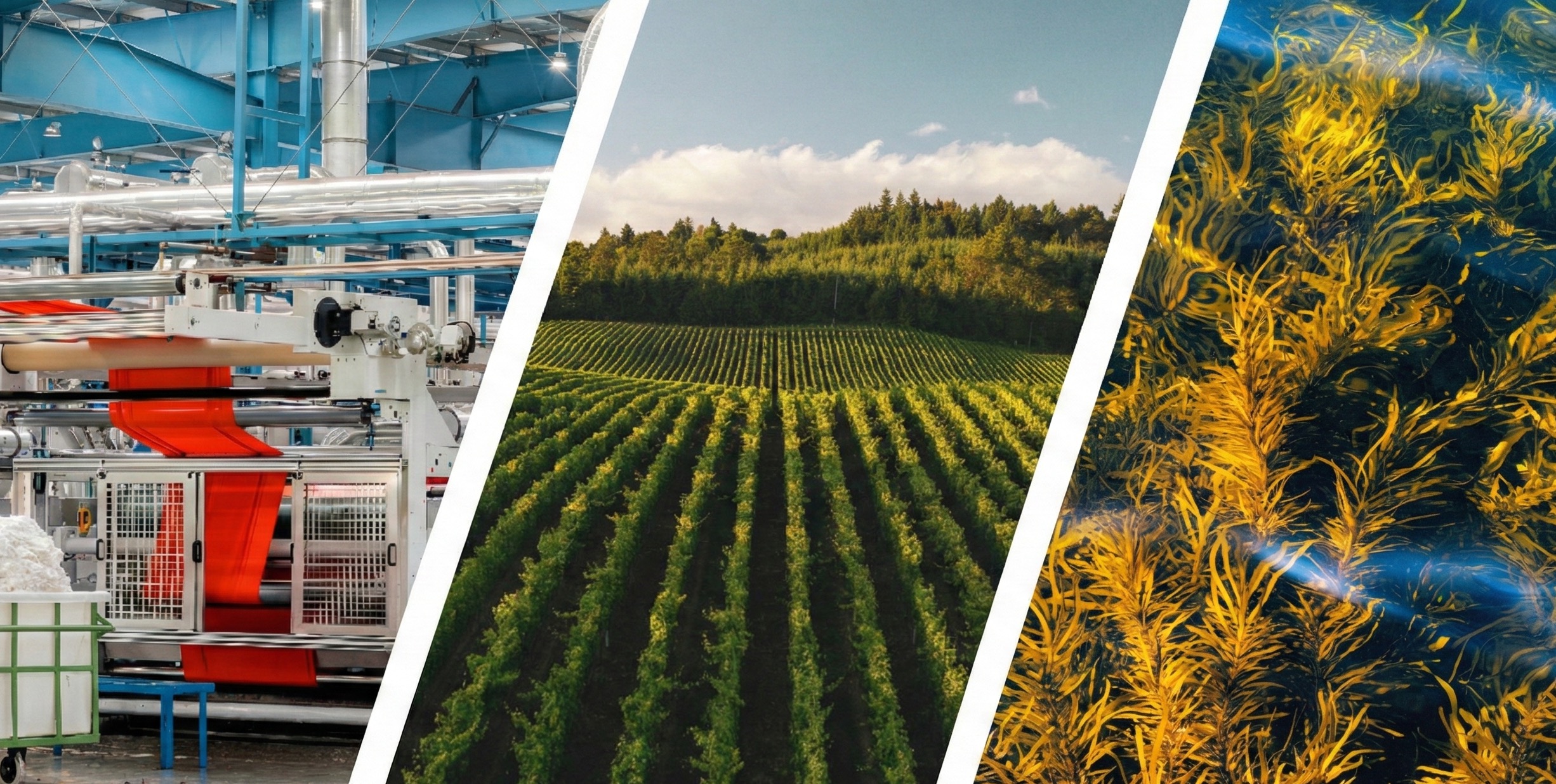 Climate technology and innovation